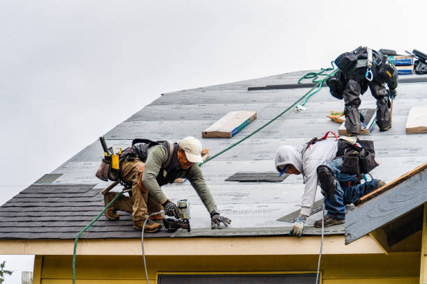 Professional Flat Roof Repair technician working in Arcadia, WI